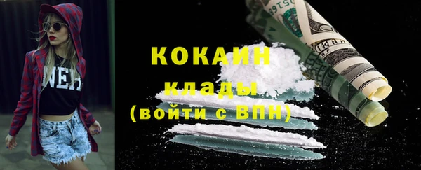 гидра Бородино