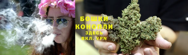 прущий лед Бронницы