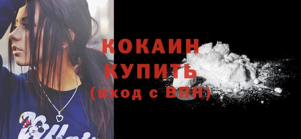 гидра Бородино