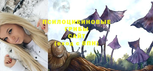 гидра Бородино