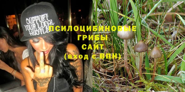 прущий лед Бронницы