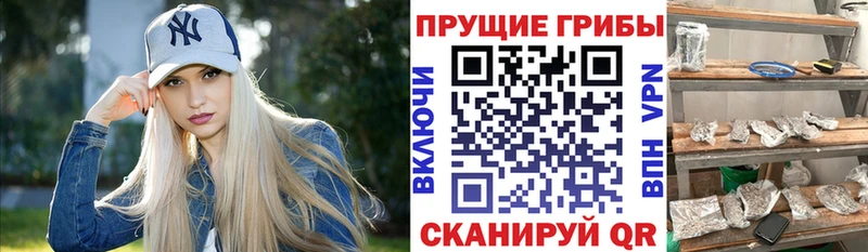 Галлюциногенные грибы Cubensis Новокузнецк