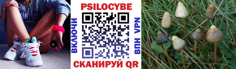 Псилоцибиновые грибы мицелий  Новокузнецк 